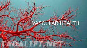 A Link between the Quality of Sleep and Vascular Health
