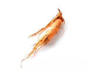 Ginseng